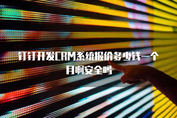 钉钉开发CRM系统报价多少钱一个月啊安全吗
