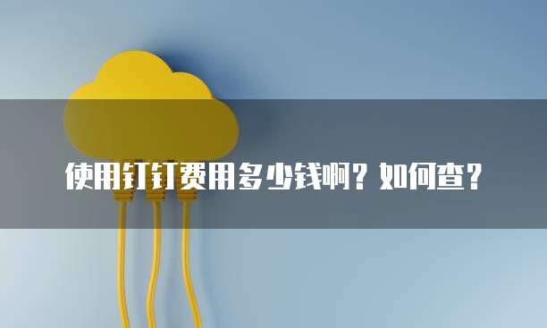 使用钉钉费用多少钱啊？如何查？