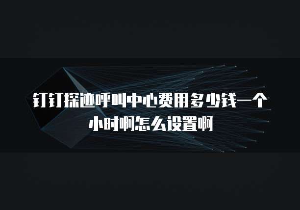 钉钉探迹呼叫中心费用多少钱一个小时啊怎么设置啊