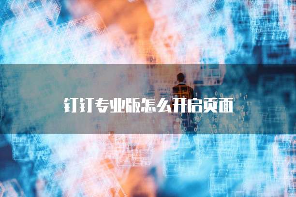 钉钉专业版怎么开启页面
