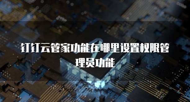 钉钉云管家功能在哪里设置权限管理员功能