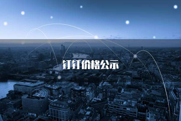 钉钉价格公示