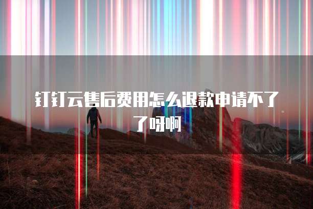 钉钉云售后费用怎么退款申请不了了呀啊