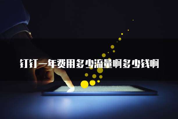 钉钉一年费用多少流量啊多少钱啊