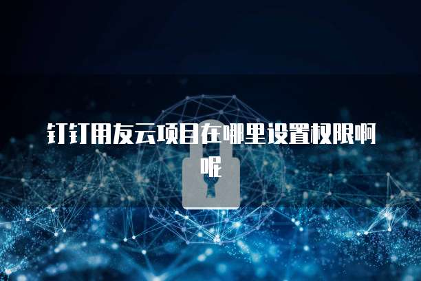 钉钉用友云项目在哪里设置权限啊呢