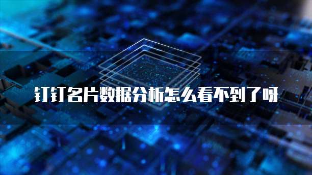 钉钉名片数据分析怎么看不到了呀