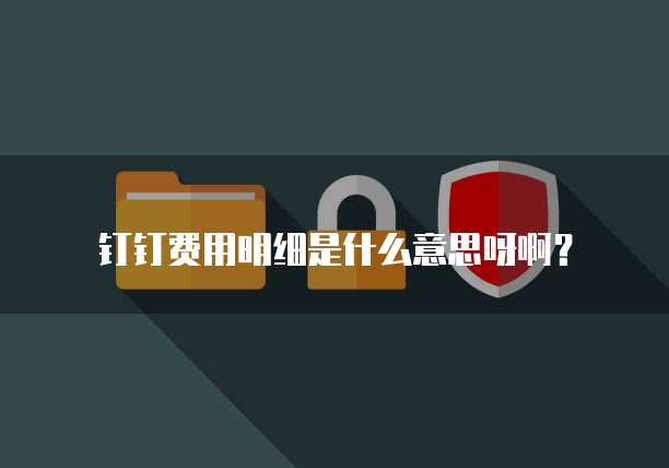 钉钉费用明细是什么意思呀啊?