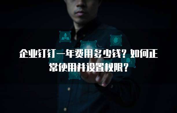 企业钉钉一年费用多少钱?如何正常使用并设置权限?