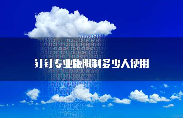 钉钉专业版限制多少人使用