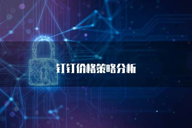 钉钉价格策略分析