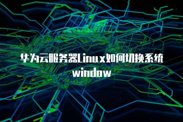 钉钉企业支付在哪里打开设置