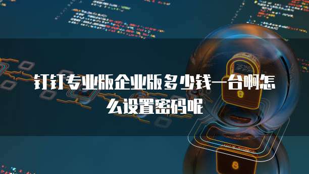 钉钉专业版企业版多少钱一台啊怎么设置密码呢