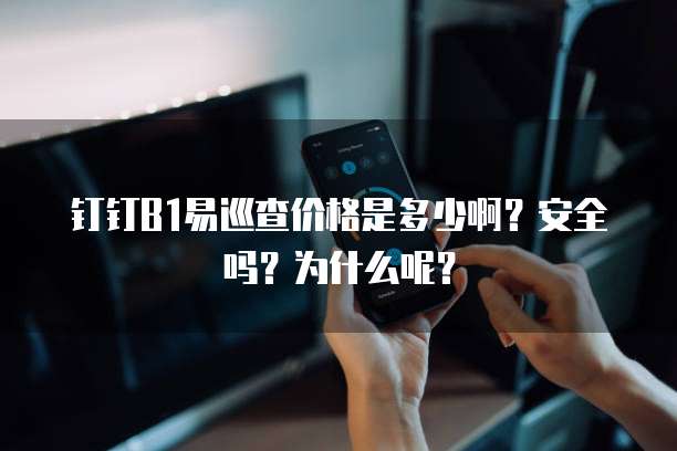 钉钉B1易巡查价格是多少啊?安全吗?为什么呢?