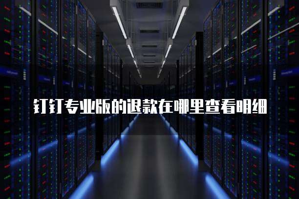 钉钉专业版的退款在哪里查看明细