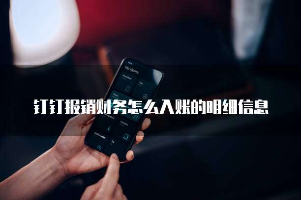钉钉报销财务怎么入账的明细信息