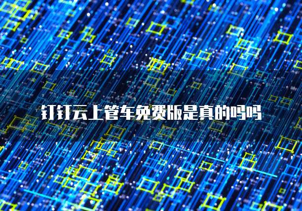钉钉云上管车免费版是真的吗吗