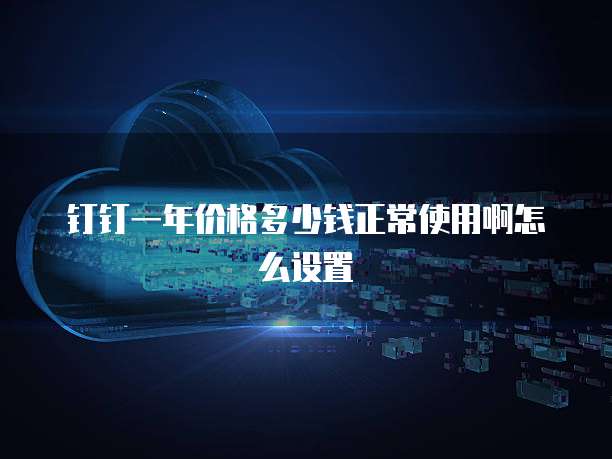 钉钉一年价格多少钱正常使用啊怎么设置