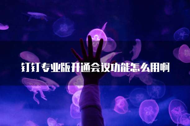 钉钉专业版开通会议功能怎么用啊