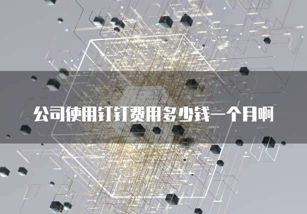 公司使用钉钉费用多少钱一个月啊