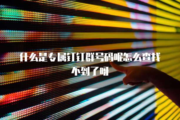 什么是专属钉钉群号码呢怎么查找不到了呀