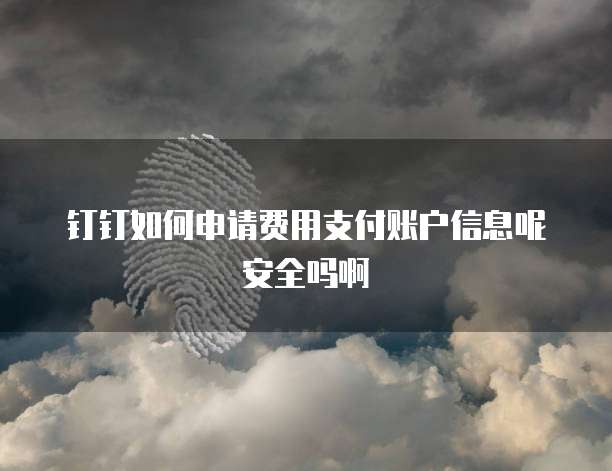 钉钉如何申请费用支付账户信息呢安全吗啊