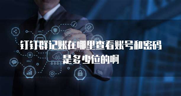 钉钉群记账在哪里查看账号和密码是多少位的啊