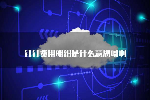 钉钉费用明细是什么意思呀啊