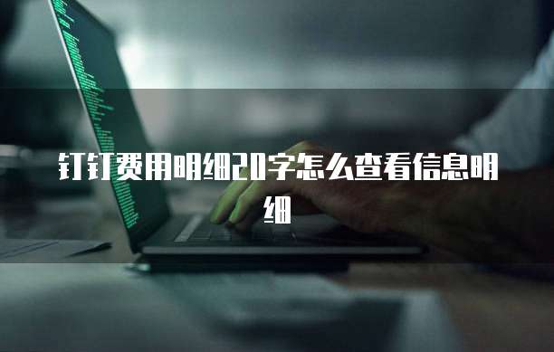 钉钉费用明细20字怎么查看信息明细