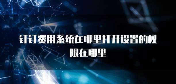 钉钉费用系统在哪里打开设置的权限在哪里