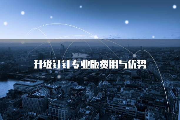 升级钉钉专业版费用与优势