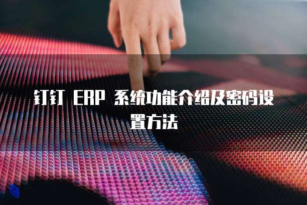 钉钉 ERP 系统功能介绍及密码设置方法