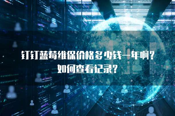 钉钉蓝莓维保价格多少钱一年啊?如何查看记录?