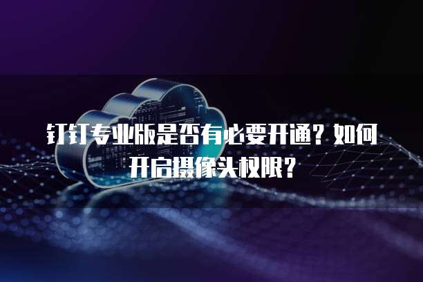 钉钉专业版是否有必要开通?如何开启摄像头权限?