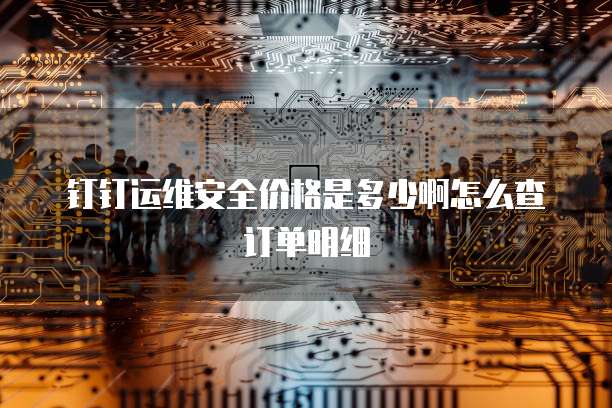 钉钉运维安全价格是多少啊怎么查订单明细