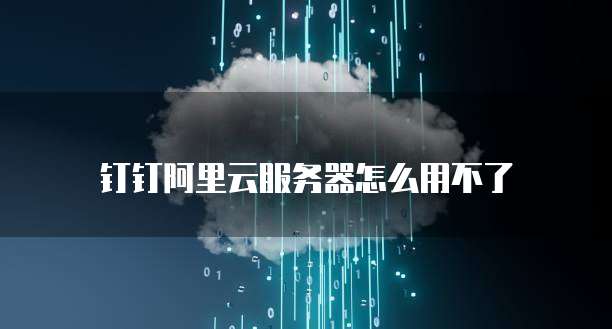 钉钉阿里云服务器怎么用不了