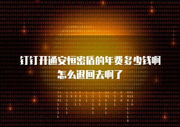 钉钉开通安恒密盾的年费多少钱啊怎么退回去啊了