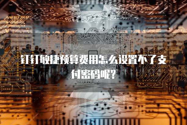 钉钉敏捷预算费用怎么设置不了支付密码呢?