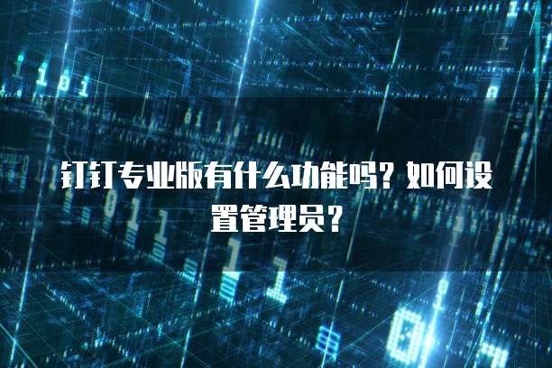 钉钉专业版有什么功能吗?如何设置管理员?