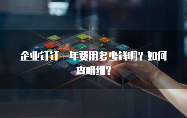 企业钉钉一年费用多少钱啊?如何查明细?