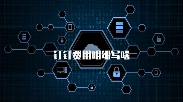 钉钉费用明细写啥