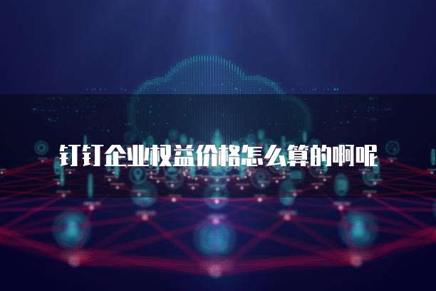 钉钉企业权益价格怎么算的啊呢