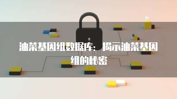 钉钉巡检表如何使用和管理