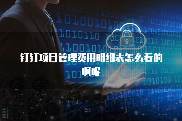 钉钉项目管理费用明细表怎么看的啊呢