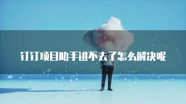 钉钉项目助手进不去了怎么解决呢