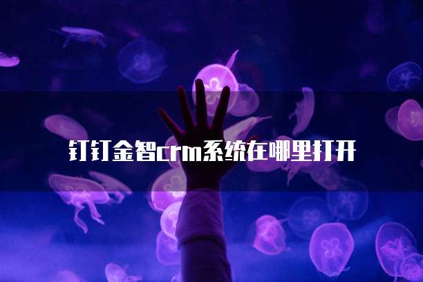 钉钉金智crm系统在哪里打开