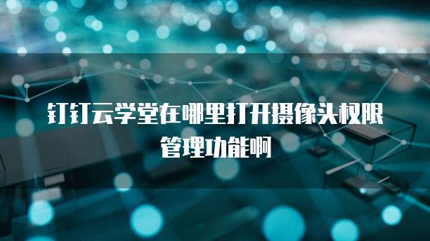 钉钉云学堂在哪里打开摄像头权限管理功能啊