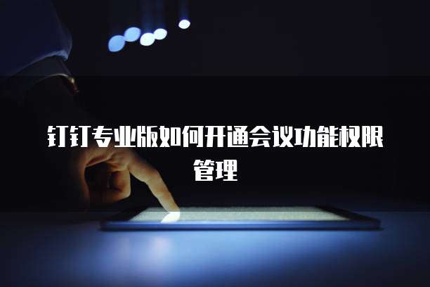钉钉专业版如何开通会议功能权限管理