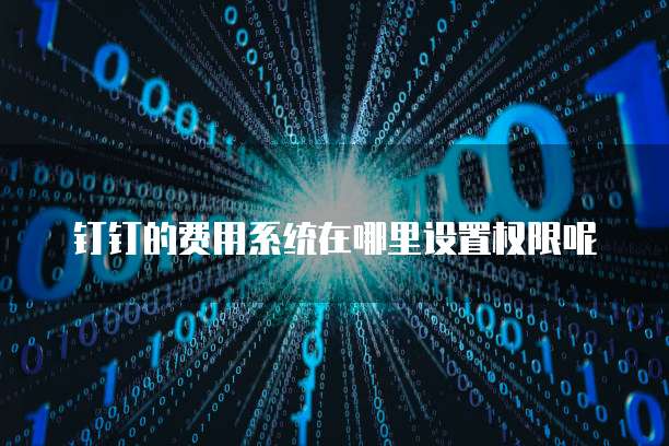 钉钉的费用系统在哪里设置权限呢