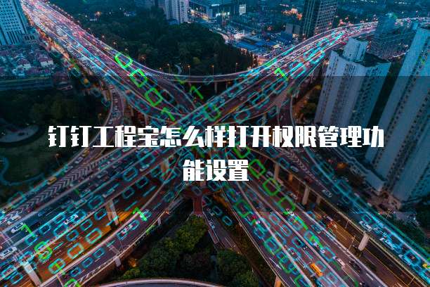 钉钉工程宝怎么样打开权限管理功能设置