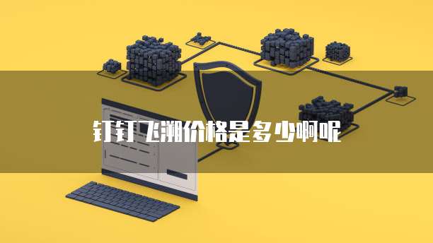 钉钉飞溯价格是多少啊呢